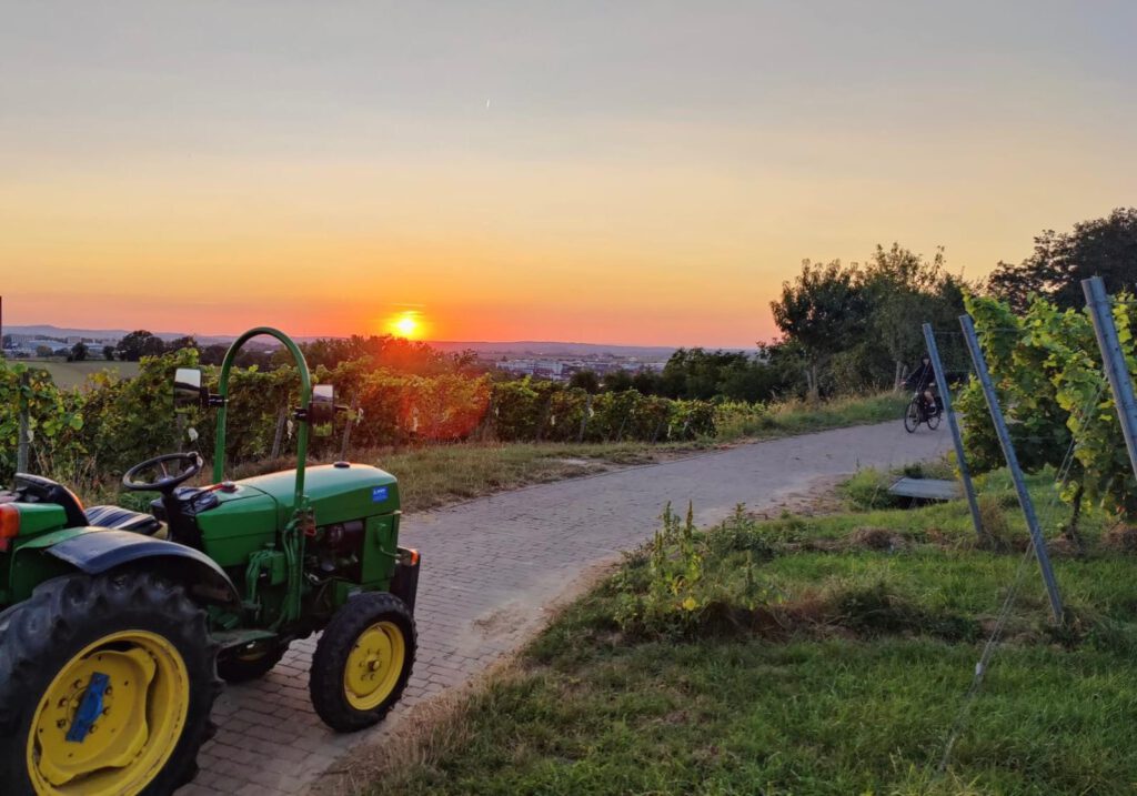 whatsapp image 2026 04 05 at 01.47.54